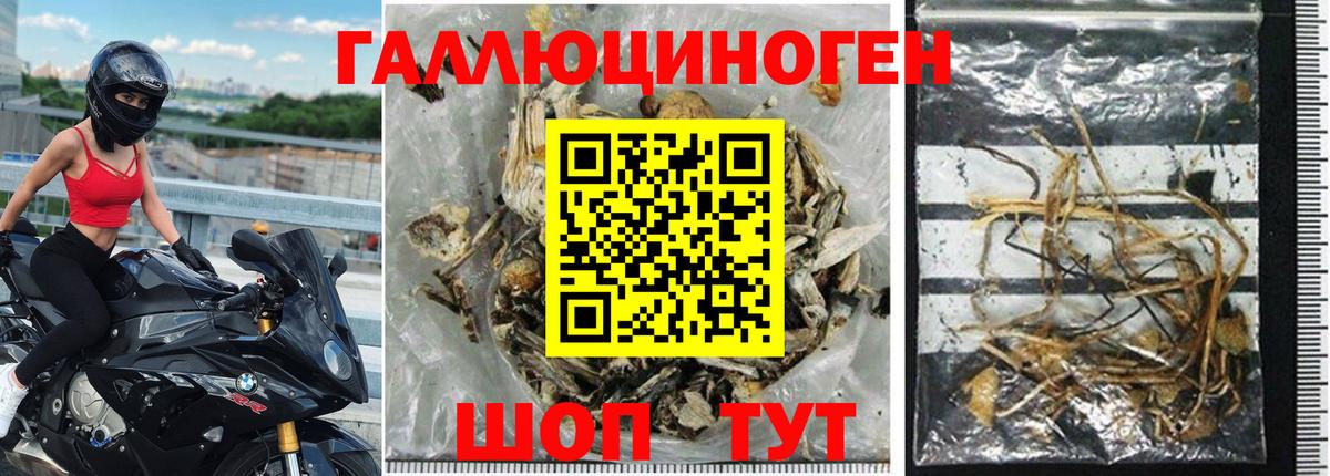 Псилоцибиновые грибы ЛСД Губкинский