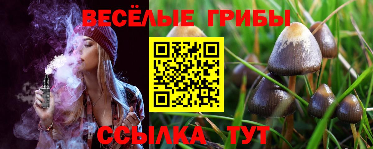 Псилоцибиновые грибы GOLDEN TEACHER  Псилоцибиновые грибы Magic Shrooms  Вход с VPN  даркнет сайт  Губкинский 